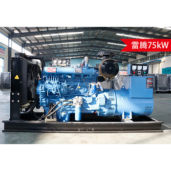 雷騰75kw柴油發(fā)電機組