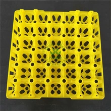 蛋托廠禽類蛋托類型雞蛋蛋格