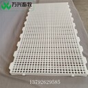 鵝用塑料漏糞板塑料鵝用地板鴨用漏糞地板網(wǎng)