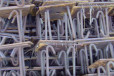 阿坝钢板焊接预埋件加工尺寸
