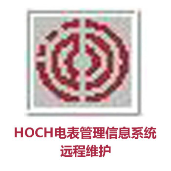HOCH电表管理信息系统维护删除修改记录