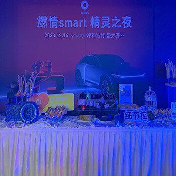 燃情smart精灵之夜酒会