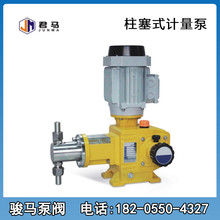 2J-X系列双头柱塞计量泵适合高粘度高压力高温液体不锈钢加药计量