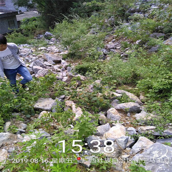 貴港覃塘區墻面漏水維修_防水堵漏公司