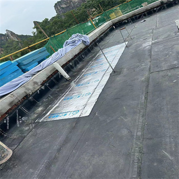 賓陽縣房屋修理漏水_防漏補漏堵漏公司