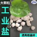 工業(yè)鹽大顆粒小白鹽精制鹽氯化鈉副產(chǎn)烘干甩干