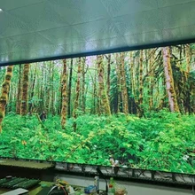 廣西南寧LED屏桂林柳州梧州賀州防城港百色河池崇左貴港玉林公司圖片