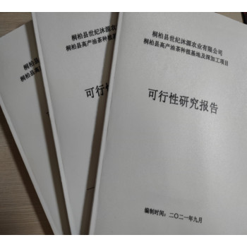 揭阳写国债可行性报告的公司写报告