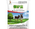 驴饲料催肥促提高肉驴增重增长肉猛吃猛涨提高瘦肉