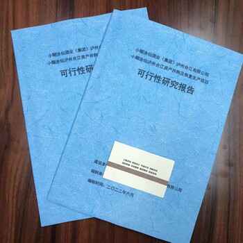 鹽邊縣可做資金申請報告的公司