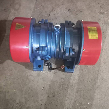 博華三項(xiàng)異步交流電機(jī)YZU100-45.5KW振動(dòng)電機(jī)