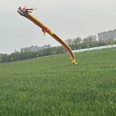 飛天鳳凰商業(yè)表演租賃發(fā)光飛天龍出租鳳凰鳥表演