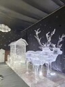 2024冰雕展出租冰雕展搭建制作出租夏季冰雕展活動策劃
