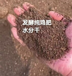 純干雞糞塊晾曬干純雞糞塊果樹底肥干雞糞發酵純雞糞