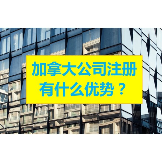 希腊公司报税时间