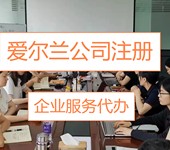 爱尔兰公司的注册流程