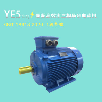YE5-180L-4-22KW三相异步电动机GB18613-2020能效