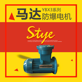 防爆電機(jī)YBX4三相異步電動(dòng)機(jī)隔爆電動(dòng)機(jī)二級(jí)能效電動(dòng)機(jī)