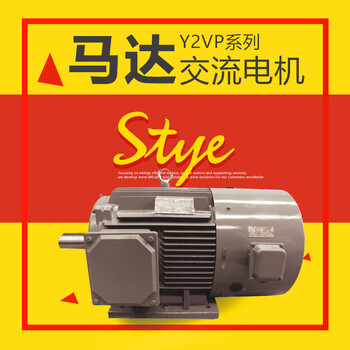 变频调速马达YE3VP-315S-6-75KW电动机立式415V电机