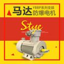 IECEX認(rèn)證馬達(dá)隔爆型電動(dòng)機(jī)YBBP315S-4-110kW馬達(dá)BT4防爆電機(jī)