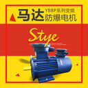 ATEX認(rèn)證隔爆型電動機(jī)YBBP-200L1-6-18.5KW防爆馬達(dá)400V