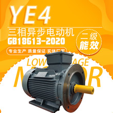 IE5/IE4欧标异步电动机国标YE5/YE4-250M-6-37KW马达400V配套水泵图片