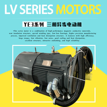 雙螺桿壓縮機驅動電動機YE2-355M1-4-275KW馬達400V服務系數(shù)1.2