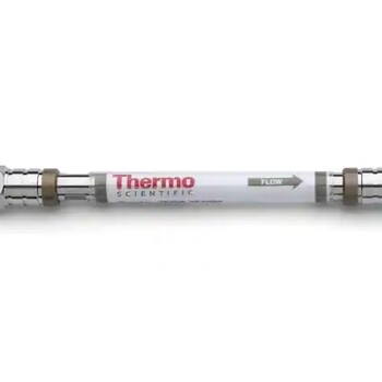 Thermo熱電陰離子濃縮柱061400現(xiàn)貨