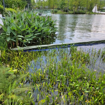 江蘇河道湖泊濕地水生態(tài)修復技術(shù)原位底泥團粒改良劑