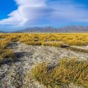 西寧荒漠沙漠水土流失治理技術(shù)彩光綠化土壤粘合劑