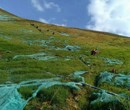 海南山体边坡植被防护生态基材土壤增活有机基质图片