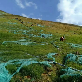 深圳礦山生態(tài)修復(fù)技術(shù)邊坡噴播基質(zhì)綠化添加劑