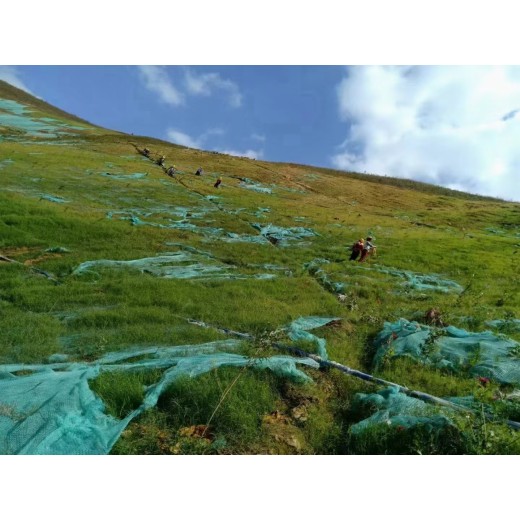 泰安边坡生态防护客土喷播绿化技术基质土壤粘合剂