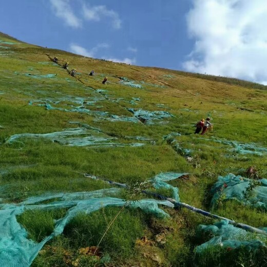 泰安边坡生态防护客土喷播绿化技术基质土壤粘合剂