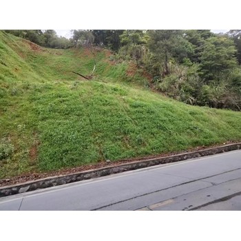 甘肅礦山修復(fù)道路邊坡復(fù)綠噴播綠化用可降解木纖維