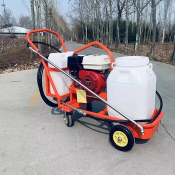 浙江杭州熱熔瀝青噴涂機破舊路面裂縫填補瀝青撒布機廠(chǎng)家