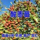 圖片_20240920104915