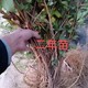 圖片_20240930142129