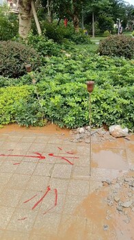 寶安管道檢測漏水公司漏水檢測定位