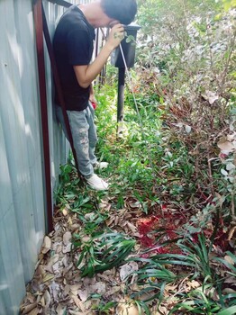 福田管道檢測漏水公司防水補漏價格