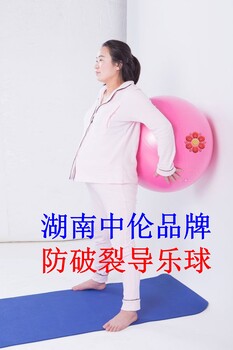 導(dǎo)樂球架助產(chǎn)架分娩球架孕婦分娩球保護(hù)架湖南中倫品牌