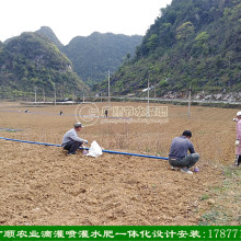 南宁有几家公司做滴灌设计安装的有节水灌溉设备卖