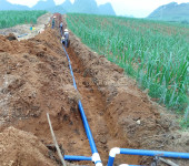 2024年广西的灌溉公司承接甘蔗滴灌喷灌设计安装