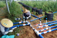 2024年广西的水肥一体化工程设计安装公司滴灌设计安装