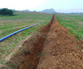 广西糖料蔗水肥一体化灌溉设计安装指导建设方案