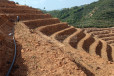 梧州市蒙山县六堡茶南宁广顺公司水肥一体化灌溉设备设计安装