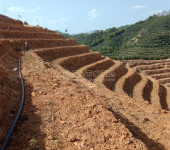 梧州市蒙山县六堡茶南宁广顺公司水肥一体化灌溉设备设计安装