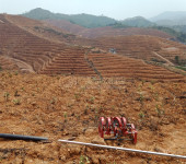 梧州特色茶业振兴乡村广西六堡茶茶园水肥一体化管理方案