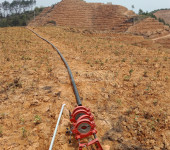梧州市六堡茶喷灌抗旱保湿水肥一体化工程项目设计安装