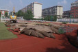 聊城市茌平县回收塑胶跑道人造草坪拆除清运打磨塑胶场地